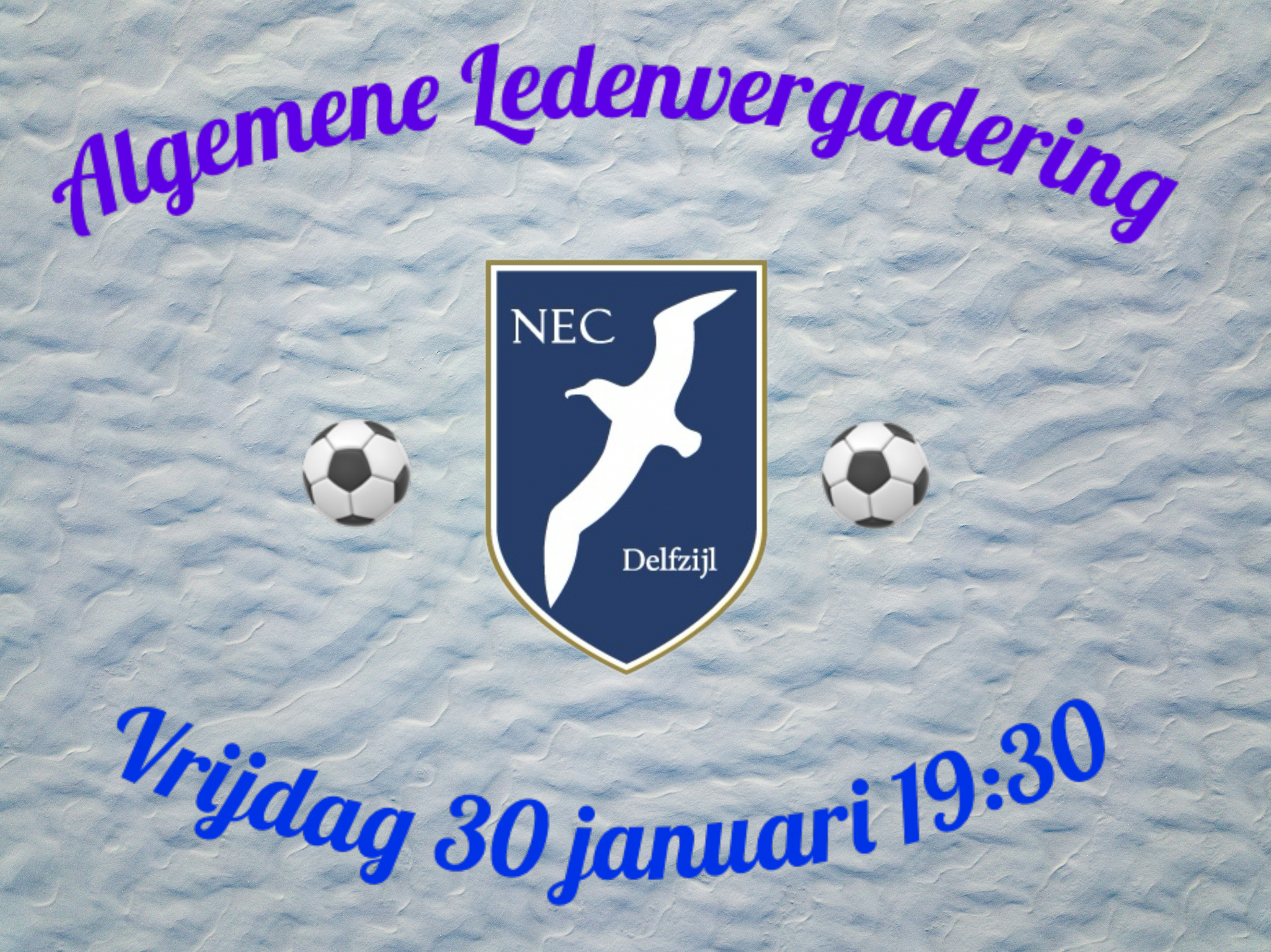 Algemene Ledenvergadering